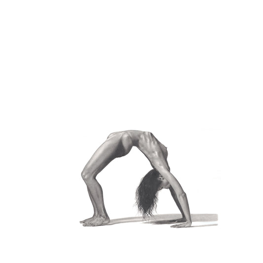 the graphiteline simple Ephemeral Resonance