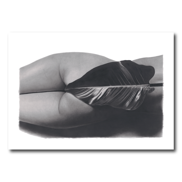 the graphiteline simple Eve