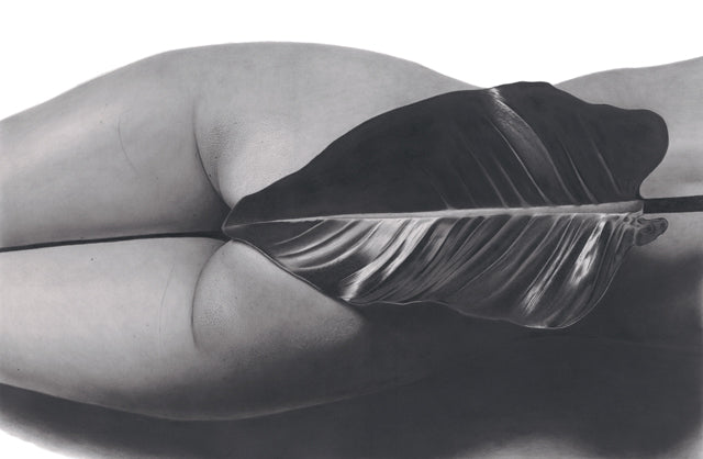 the graphiteline simple Eve