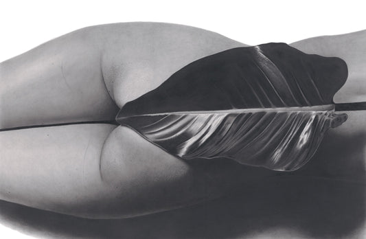 the graphiteline simple Eve