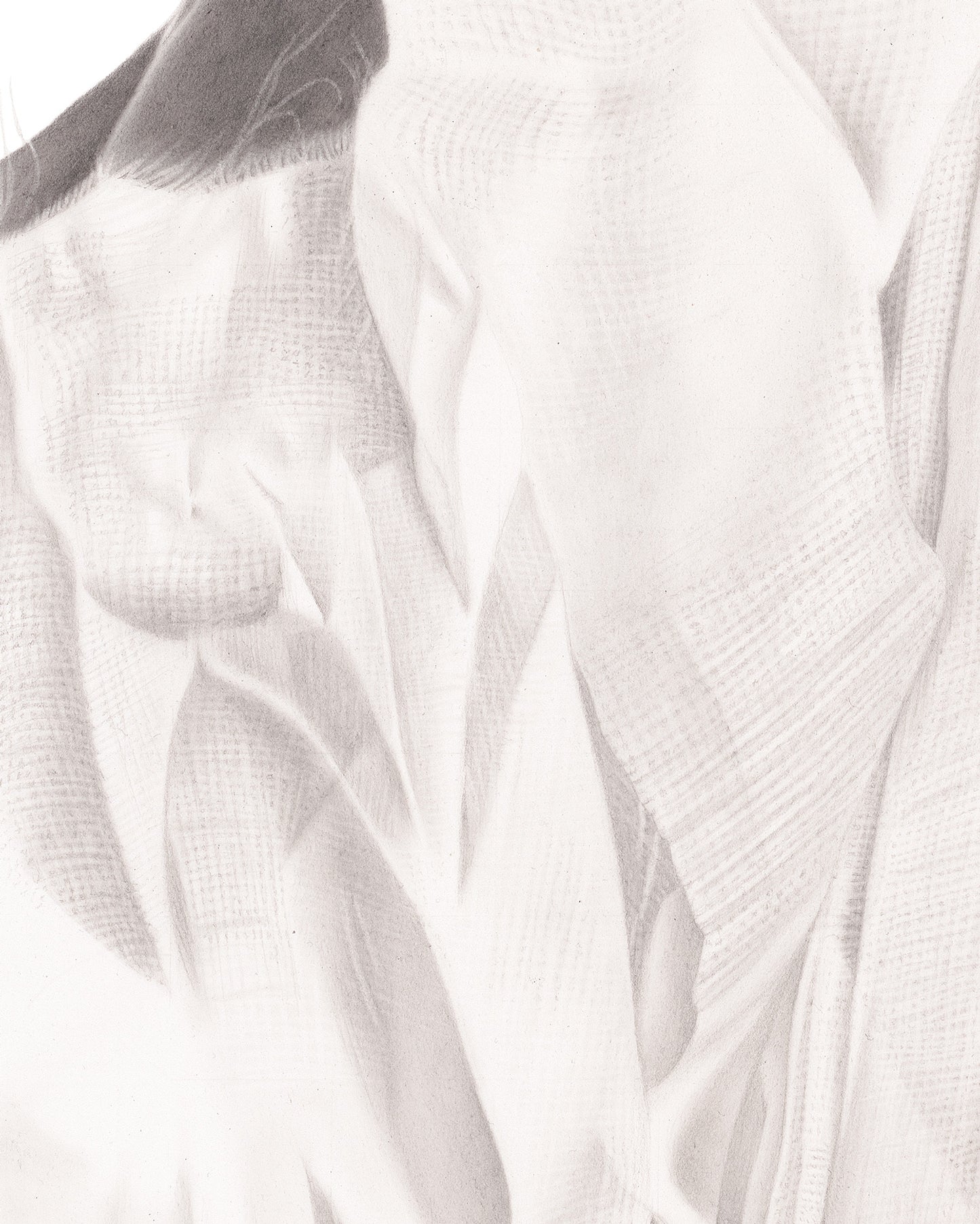 the graphiteline simple Grace of Athena