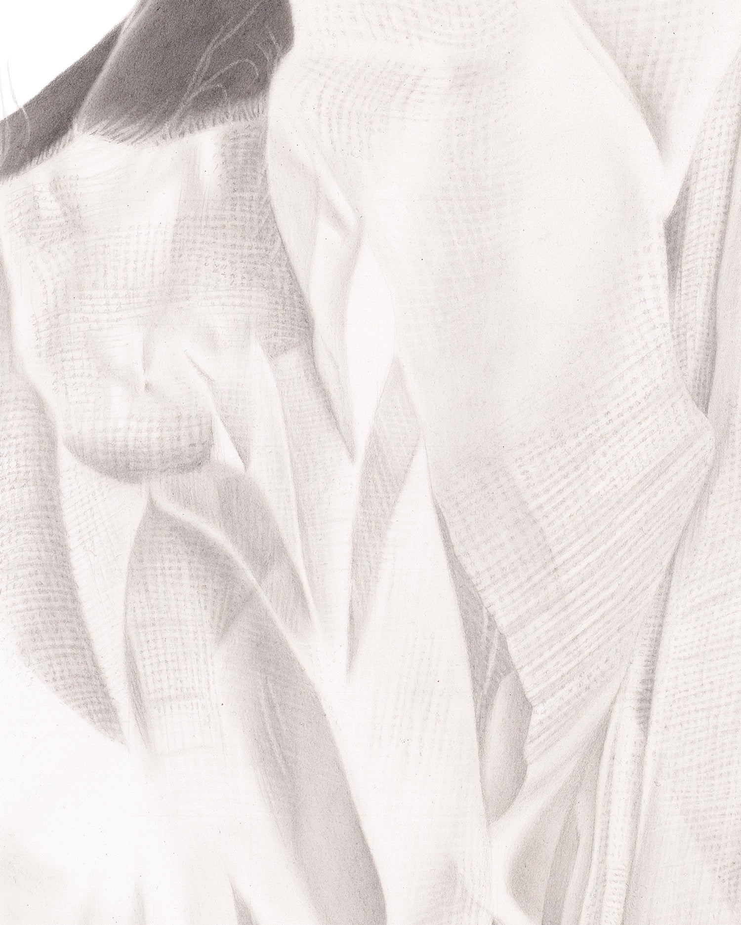 the graphiteline simple Grace of Athena
