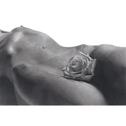 the graphiteline simple Gracie