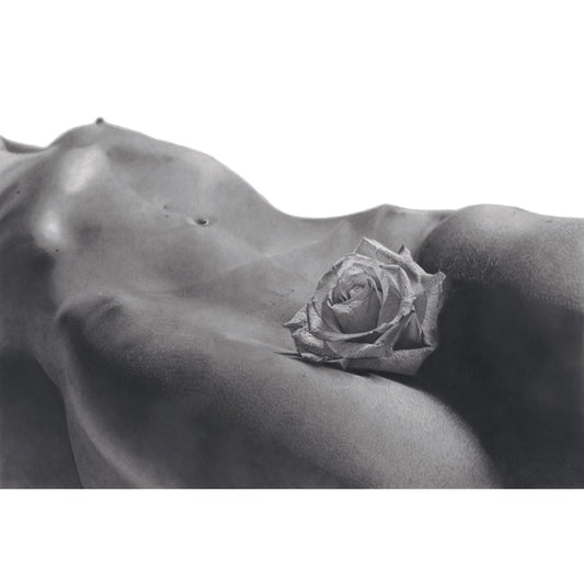 the graphiteline simple Gracie